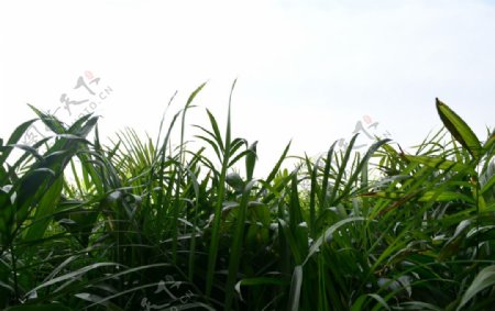 原创摄影