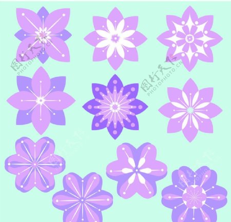矢量紫色清新花朵