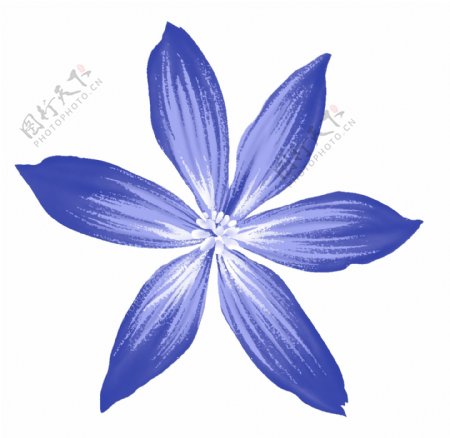 蓝色浪漫花朵素材