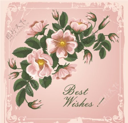 粉色花卉祝福卡片矢量素材