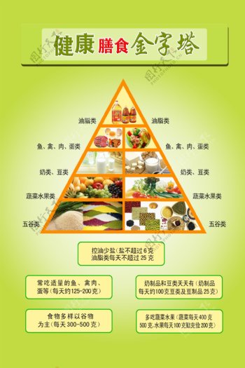 健康金字塔
