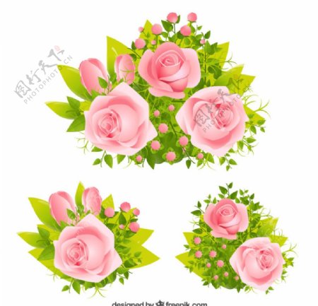 3组精美粉色玫瑰花