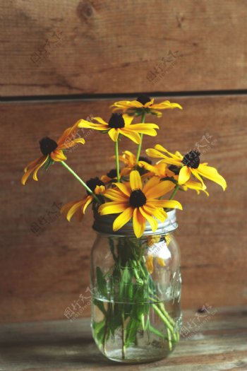 玻璃瓶插花黄色鲜花