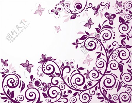 紫花纹矢量图