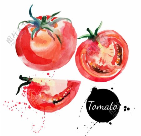 彩绘西红柿矢量素材