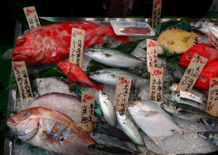 世界最大鱼市场