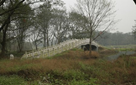 林中小桥