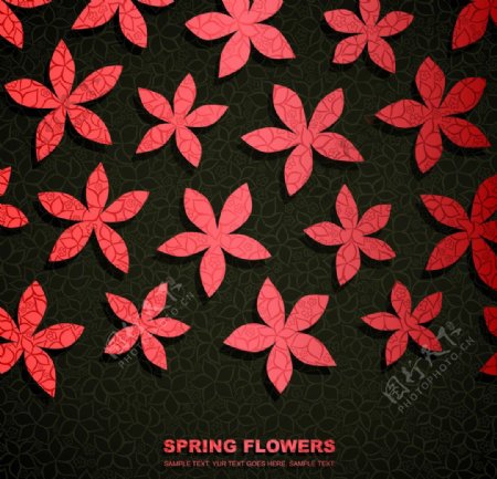 花纹花卉花朵墙纸