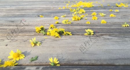 散落在地板上的小黄花