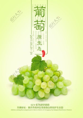 水晶葡萄绿色葡萄