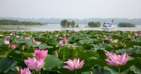淮阳龙湖