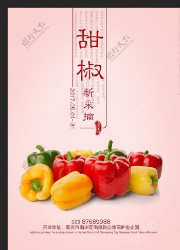 甜椒蔬菜