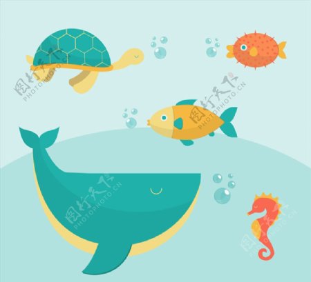 5种创意海洋动物设计矢量素材