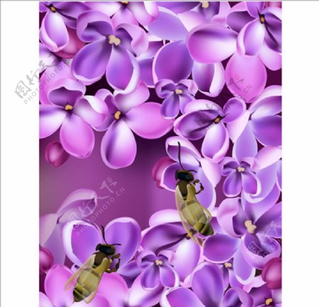 春季紫色花卉和蜜蜂插图