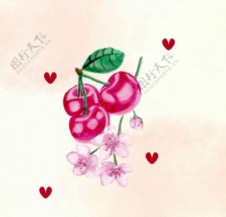手绘水彩樱桃插图
