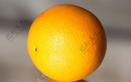 橙子橙新鲜橙子橙子剖面