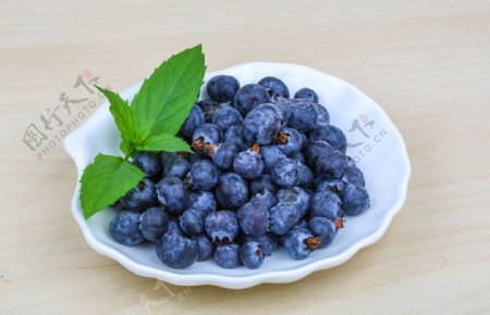 小盘蓝莓
