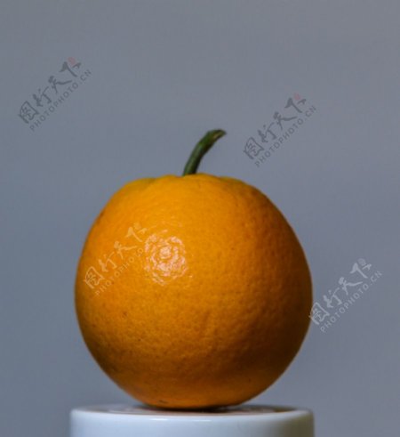 橙子静物