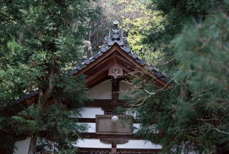 日式园林建筑摄影