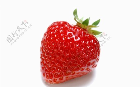 鲜艳的草莓