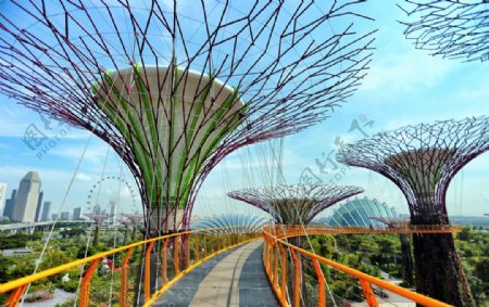 新加坡高清艺术木