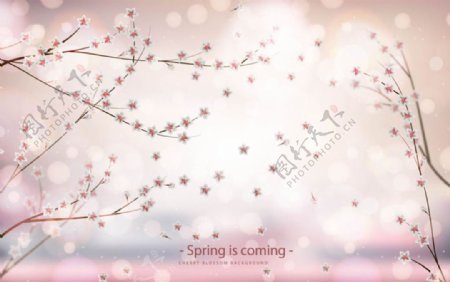 朦胧背景春季桃花海报