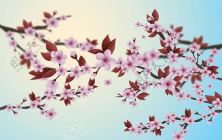 春季樱花海报背景