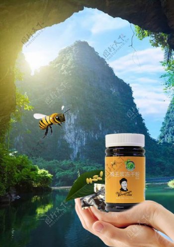 王浆冻干粉蜂蜜产品大自然