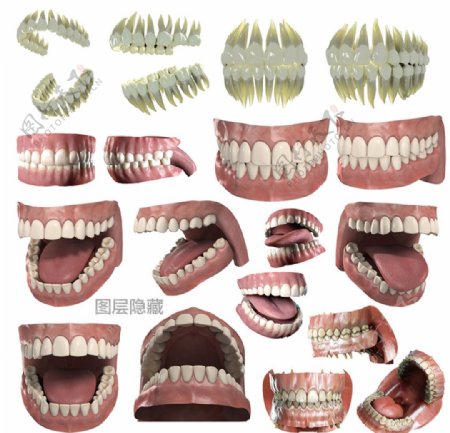 3D牙齿