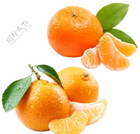 高清橘子素材