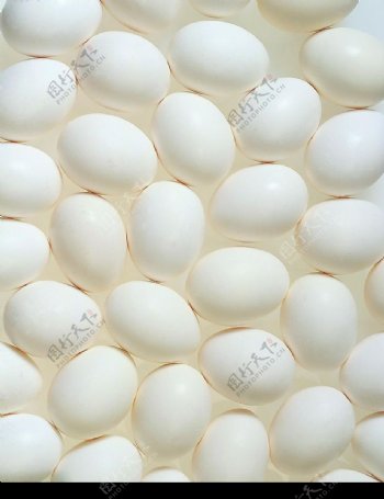 食品背景鸡蛋