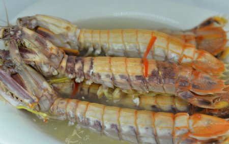 清蒸濑尿虾