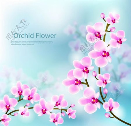 朦胧背景春季樱花插图