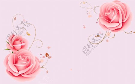 可爱粉色玫瑰背景墙