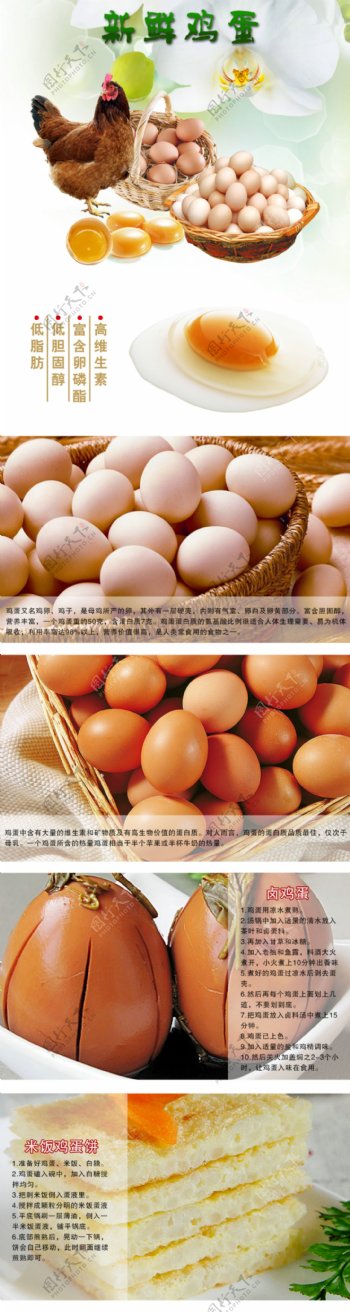 土鸡蛋广告