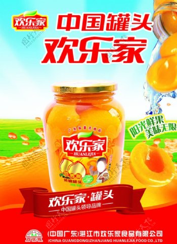 中国罐头欢乐家黄桃罐头