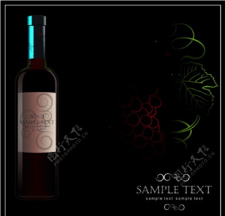 红酒与葡萄矢量图