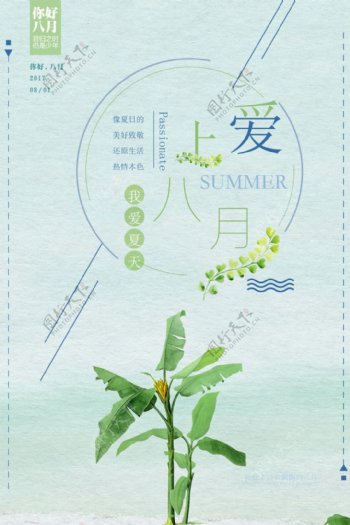 八月小清新节日海报