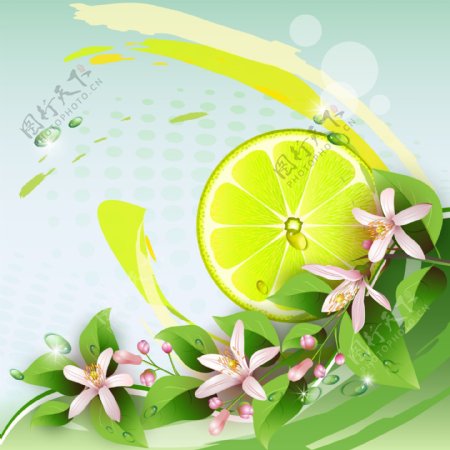 柠檬与鲜花背景图片