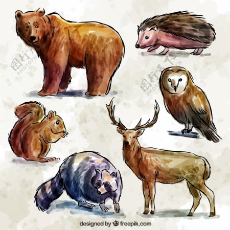 6款彩绘野生动物矢量
