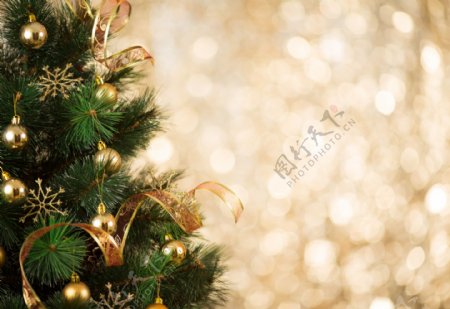 梦幻光斑与圣诞树图片