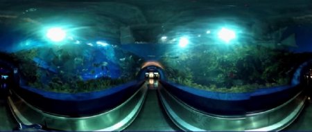 全景海底环游VR视频