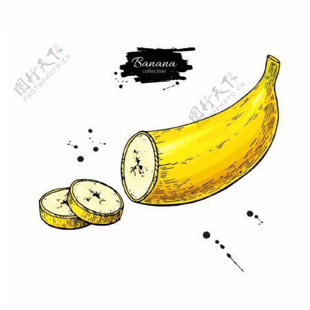 切片的黄色香蕉和墨迹矢量素材