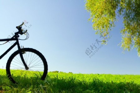 野外的自行车图片