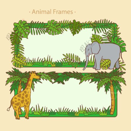 森林里的动物插画