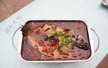 川香烤鱼
