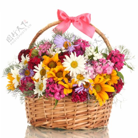 美丽的花篮与花朵图片