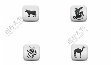 动物按钮图标icon