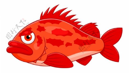 卡通红鲷鱼图片