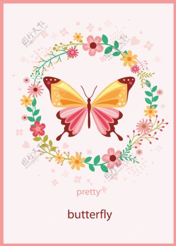 美丽的蝴蝶